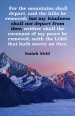 General Worship Bulletin: My Kindness (Package of 100)