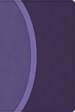 CSB Rainbow Study Bible, Purple Leathertouch