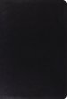 ESV Giant Print Thinline Bible, Red Letter (Genuine Leather, Black)