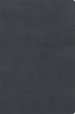 RVR 1960 Biblia De Estudio De Letra Gigante, Negro
