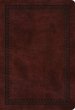 ESV Large Print Compact Bible, Red Letter (TruTone, Mahogany, Border Design)