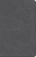 NASB Personal Size Bible, Charcoal
