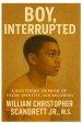 Boy, Interrupted: A Southern Memoir of Faith, Identity, and Becoming