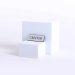 Badge Engraved Contemporary Greeter Silver Magnet