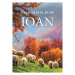 Romanian Gospel according to John - Paperback