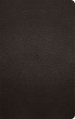 ESV Giant Print Personal Size Bible, Red Letter (Buffalo Leather, Deep Brown)