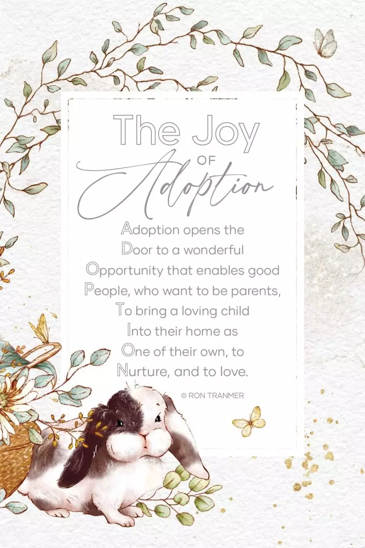 Plaque-Everyday-The Joy Of Adoption (6 x 9)