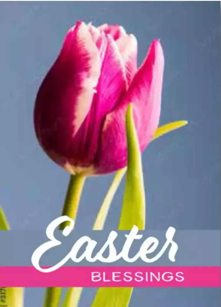 Tulip Easter Blessings Cards - Pack of 4
