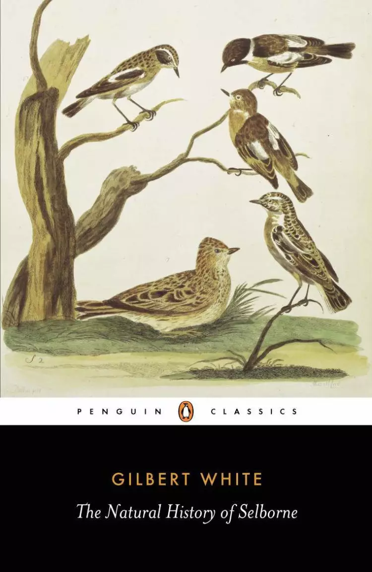 Natural History Of Selbourne
