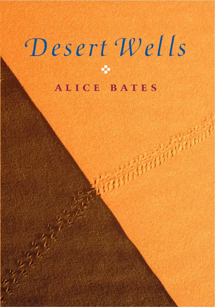 Desert Wells