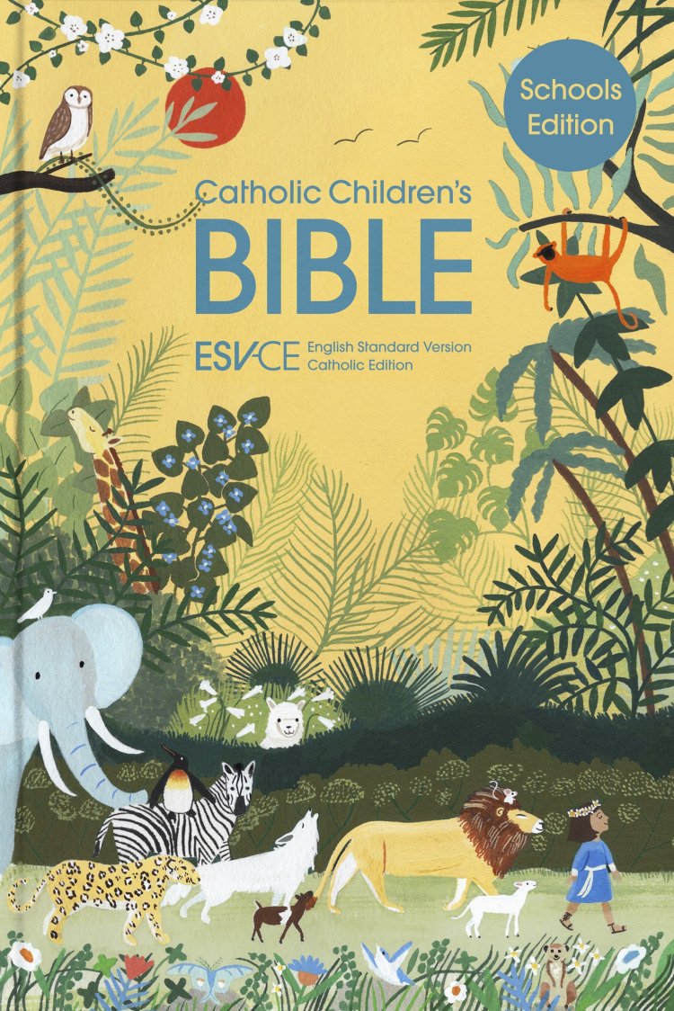 ESV-CE Catholic Bible, Anglicised Schools Edition, Illustrated ...