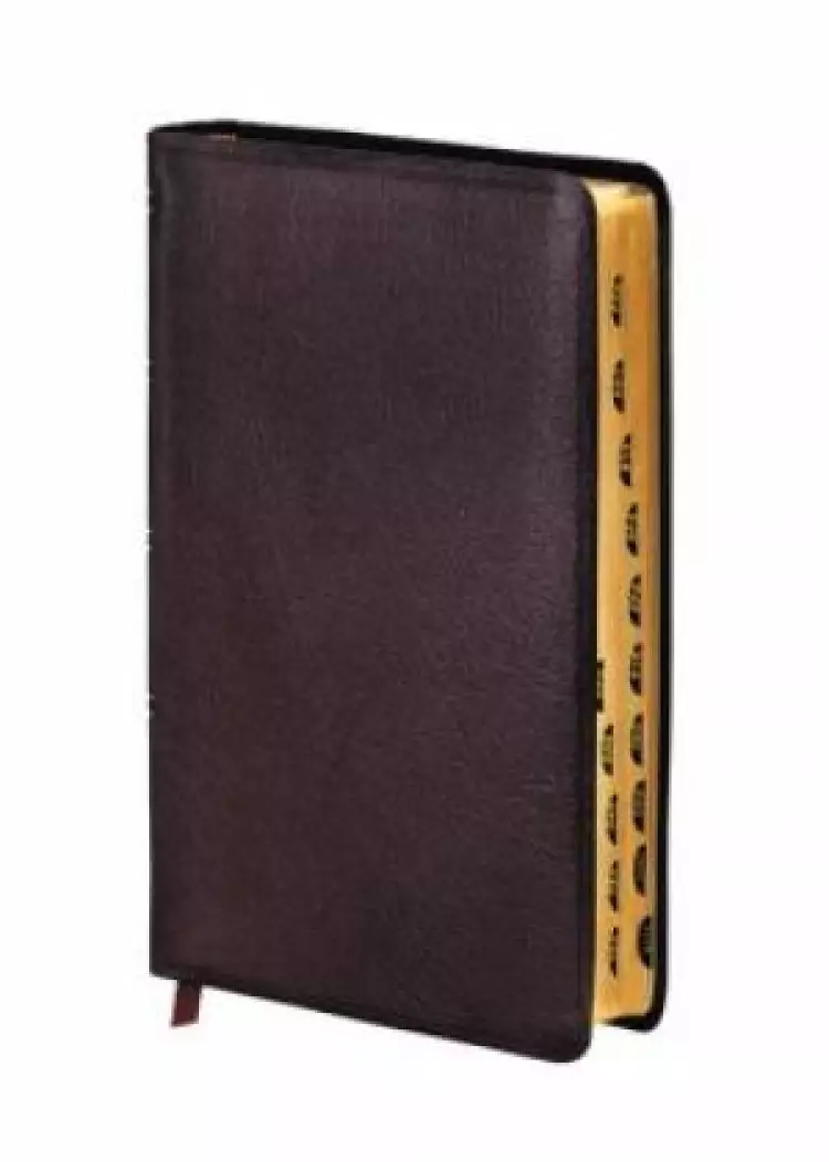 Amplified Thinline Holy Bible: Burgundy, Bonded Leather, Thumb Indexed