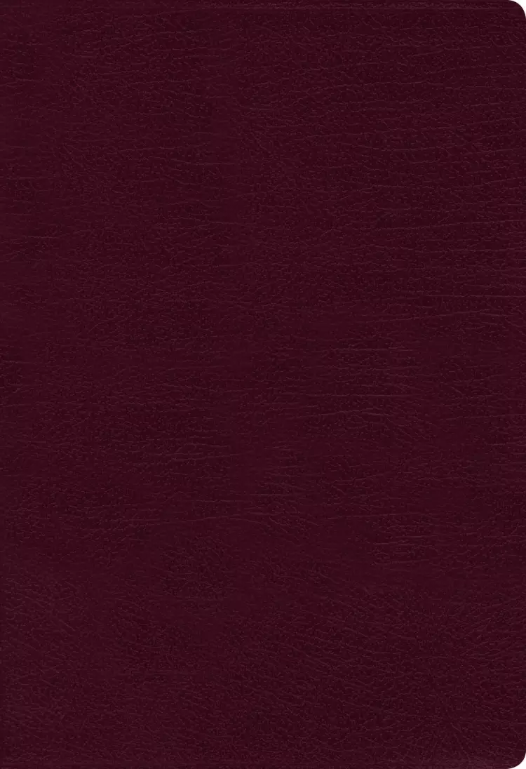NIV, Thinline Bible, Giant Print, Bonded Leather, Burgundy, Indexed, Red Letter Edition