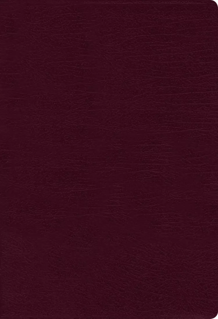 NIV, Thinline Bible, Bonded Leather, Burgundy, Indexed, Red Letter Edition