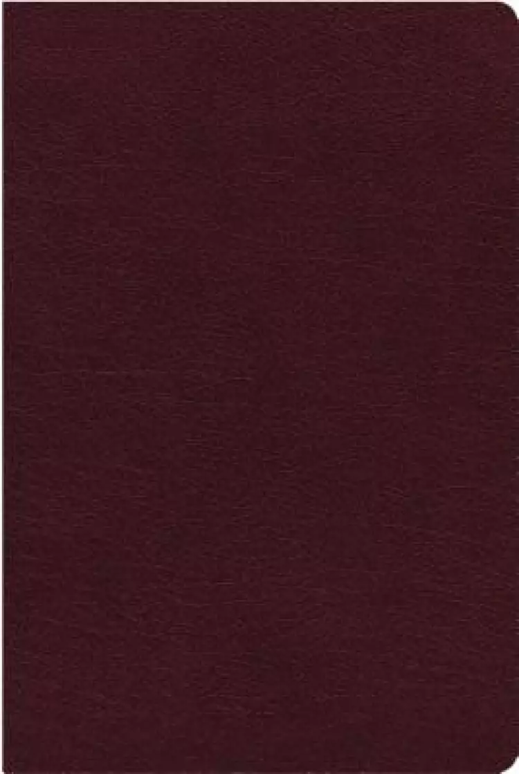 NIV, Biblical Theology Study Bible (Trace the Themes of Scripture), Bonded Leather, Burgundy, Thumb Indexed, Comfort Print