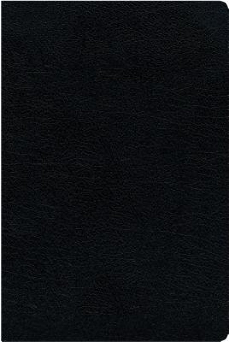 NIV, Biblical Theology Study Bible (Trace the Themes of Scripture), Bonded Leather, Black, Thumb Indexed, Comfort Print