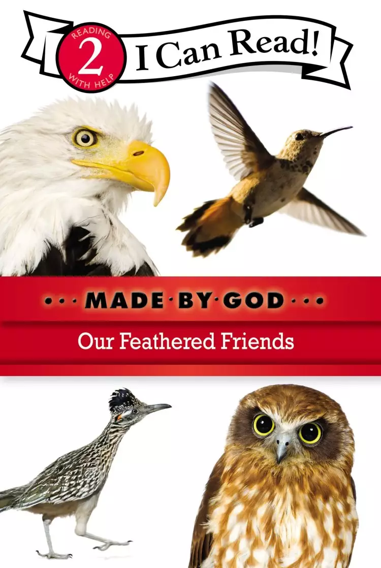 Our Feathered Friends