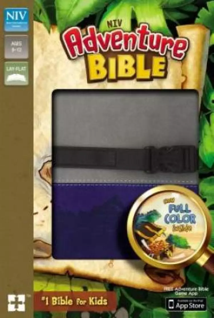 NIV, Adventure Bible, Imitation Leather, Gray/Blue, Full Color