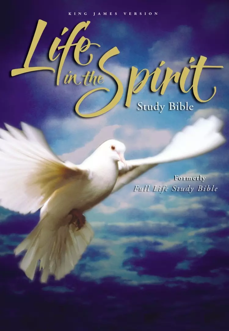 KJV Life in the Spirit Study Bible: Hardback