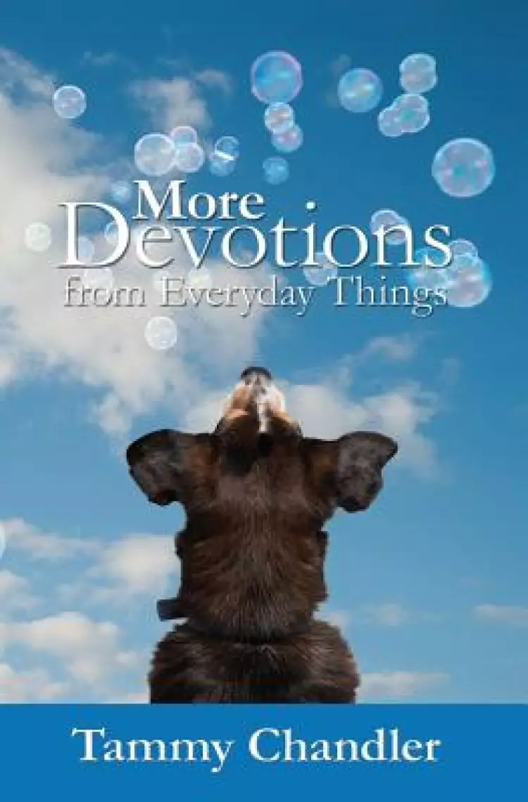More Devotions from Everyday Things
