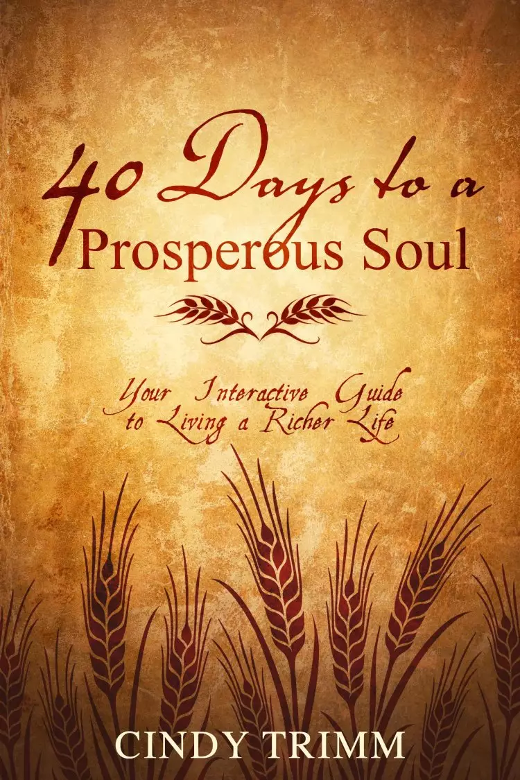 40 Days To A Prosperous Soul Paperback