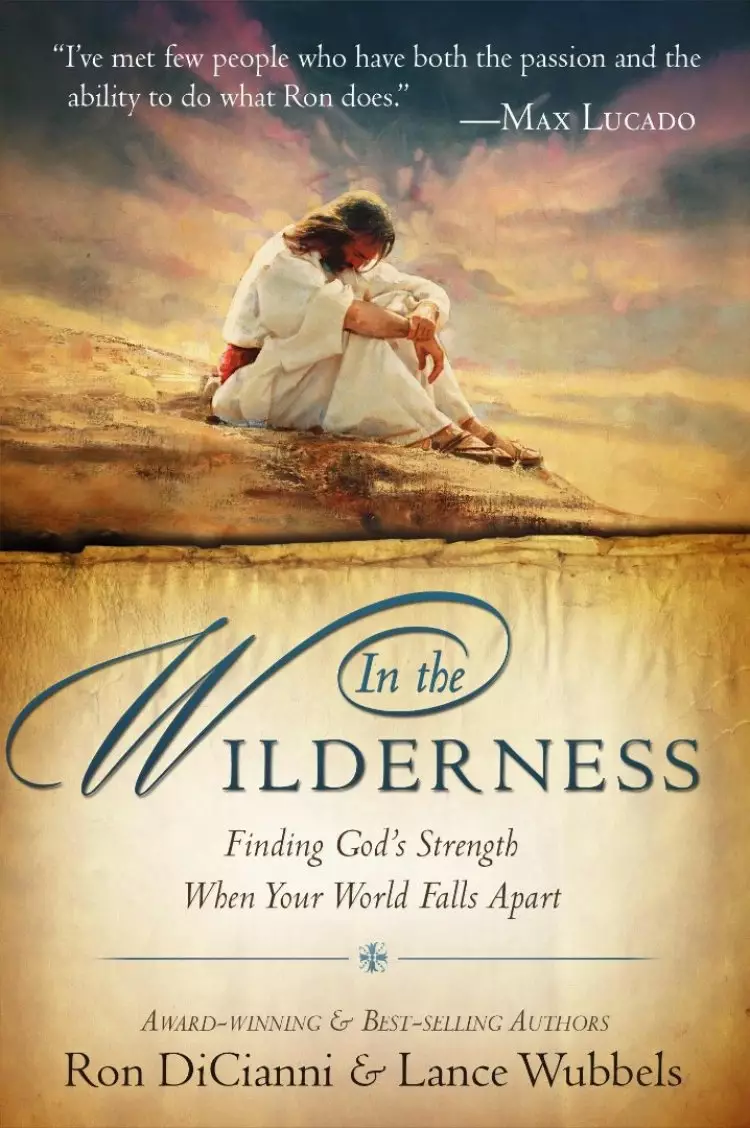 In The Wilderness Paperback Book