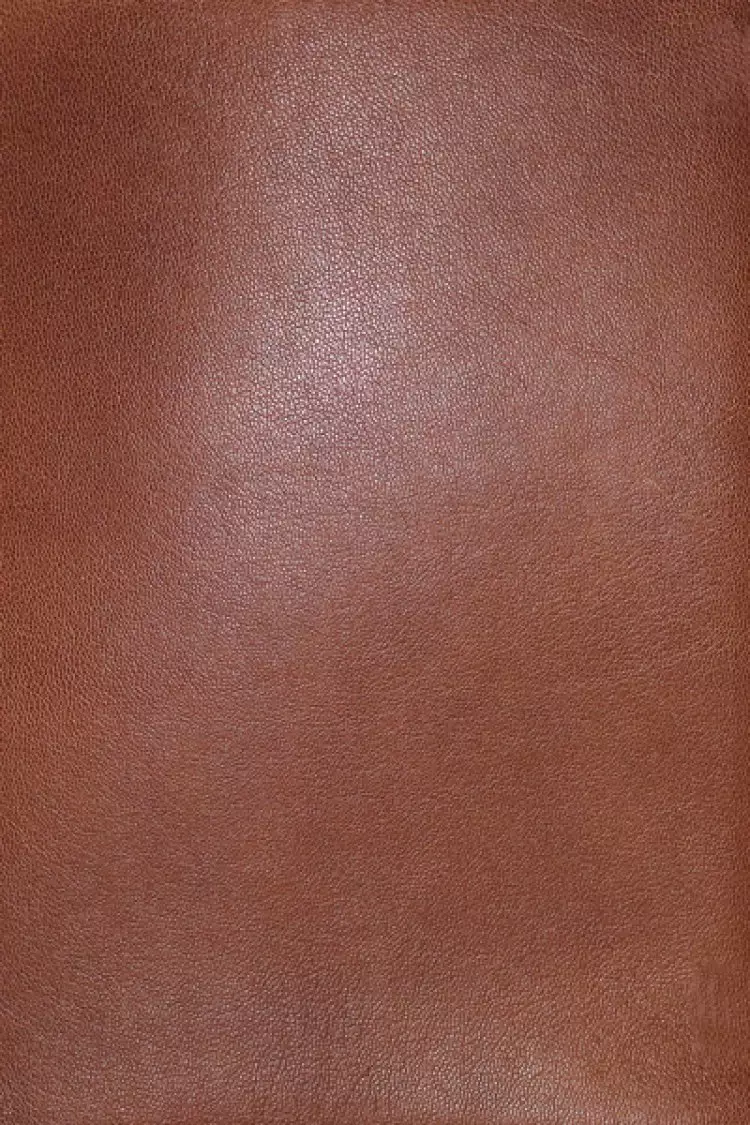 NASB, MacArthur Study Bible, 2nd Edition, Premium Goatskin Leather, Brown, Premier Collection, Comfort Print