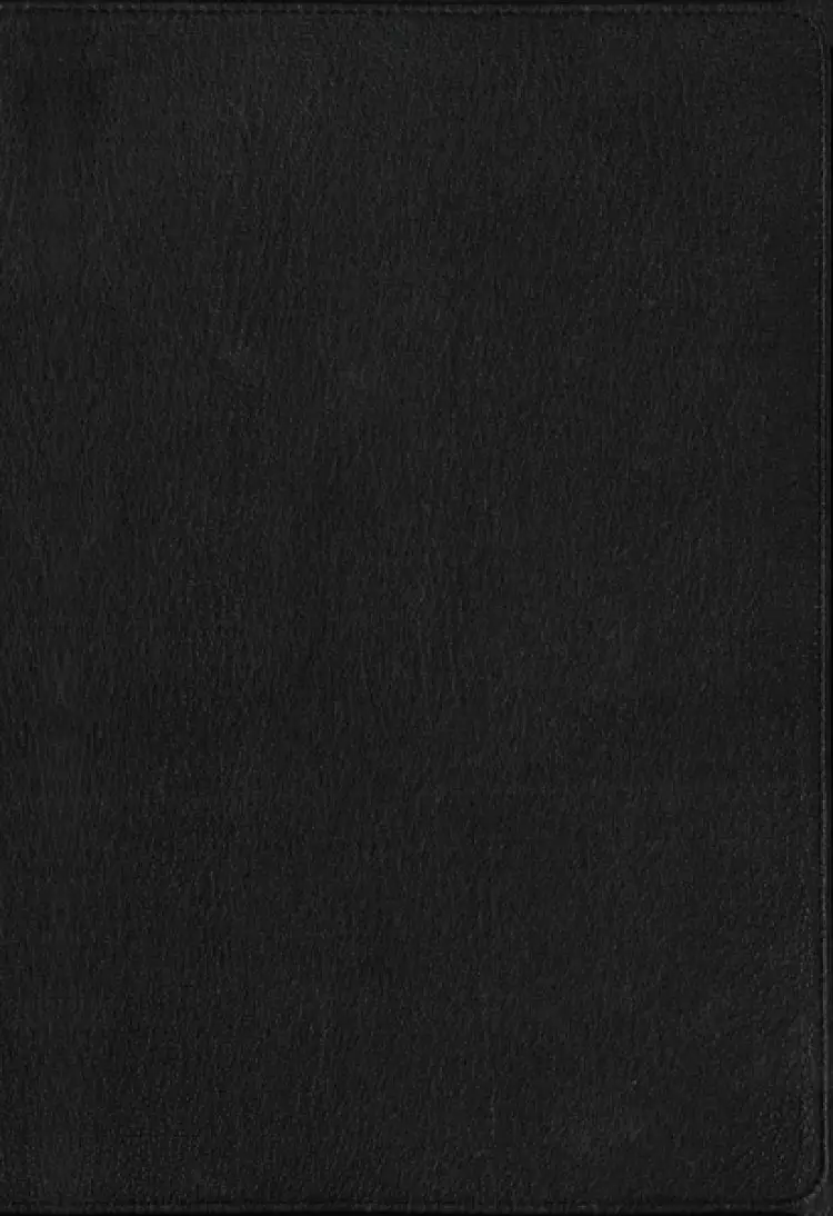 KJV Holy Bible: Large Print Verse-by-Verse with Cross References, Black Premium Goatskin Leather, Comfort Print: King James Version (Maclaren Series)