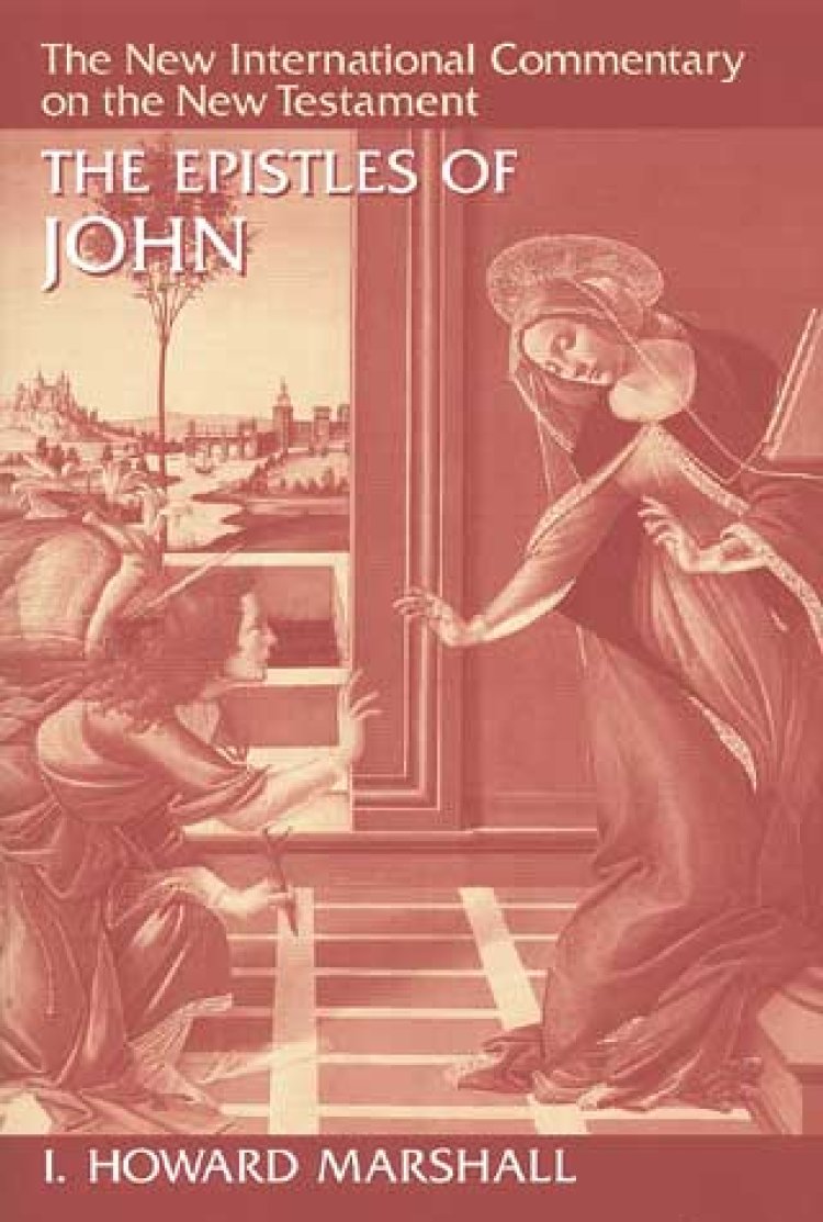1 2 & 3 John: New International Commentary on the New Testament