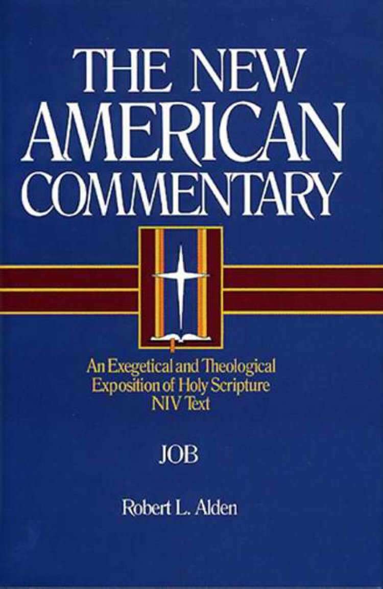 Job : Vol 11 : New American Commentary 