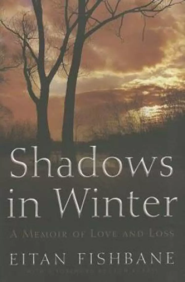 Shadows in Winter