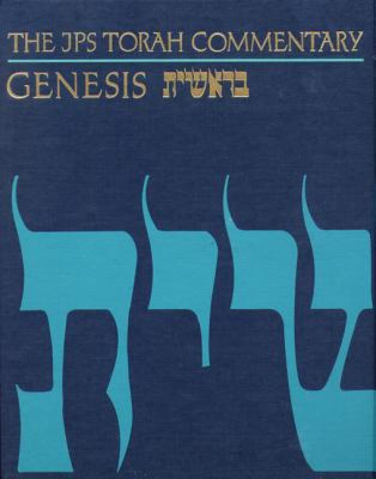The JPS Torah Commentary