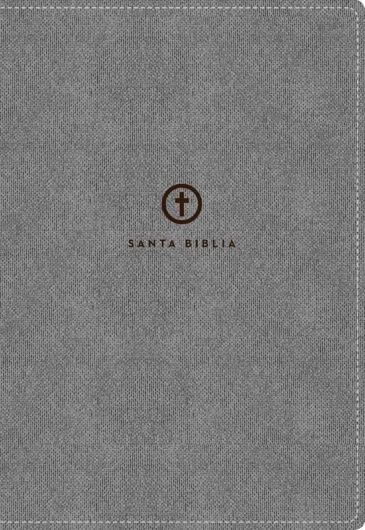RVR60 Santa Biblia Serie 50 Letra Grande, Tamaño Manual, Tapa Dura,Tela, Gris