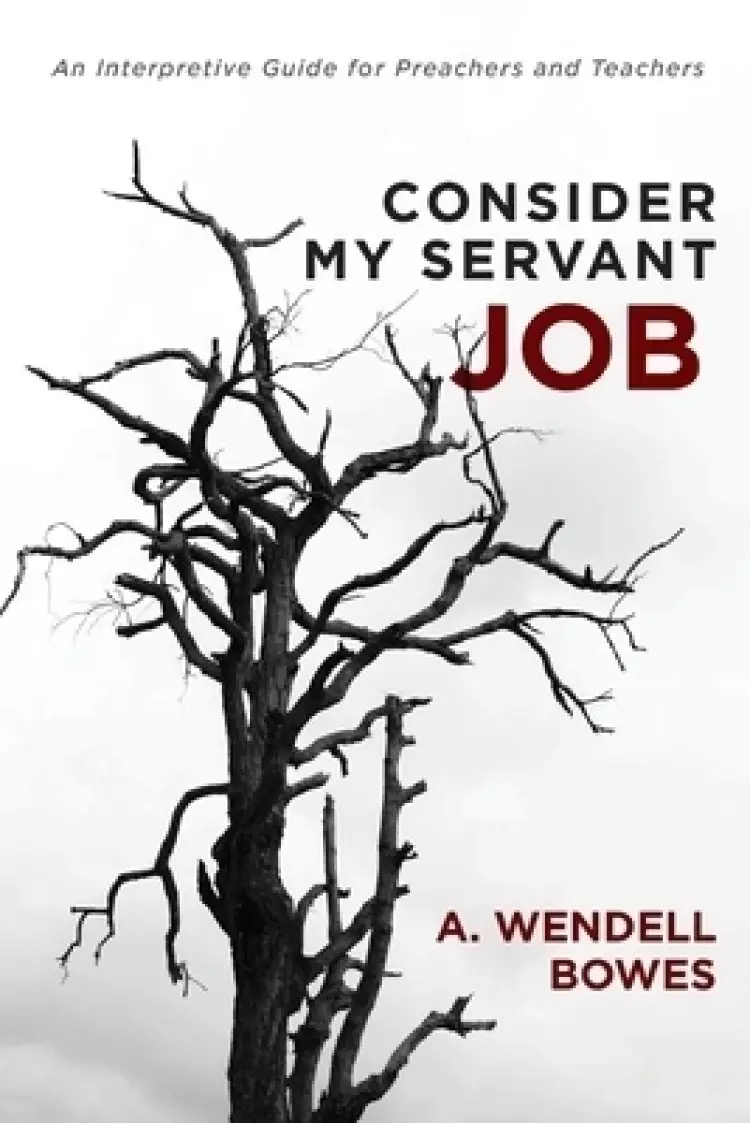Consider My Servant Job: An Interpretive Guide for Preachers and Teachers