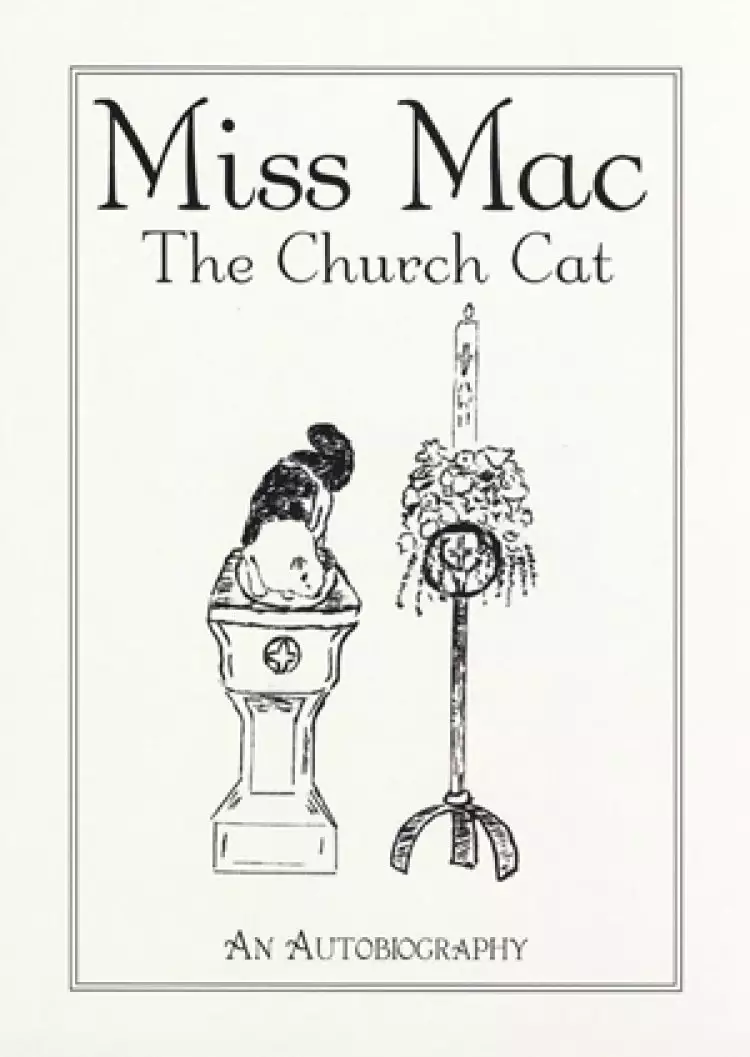 Miss Mac The Church Cat