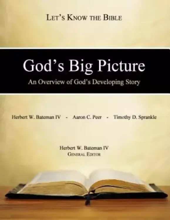 God's Big Picture: An Overview of God's Developing Story