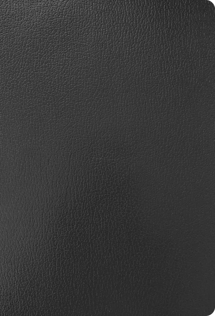 KJV Super Giant Print Reference Bible, Black Imitation Leather
