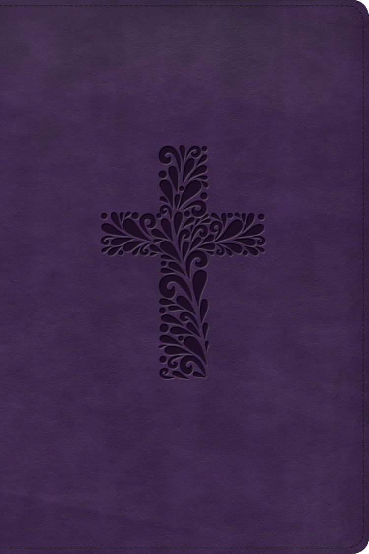 KJV Rainbow Study Bible, Purple LeatherTouch