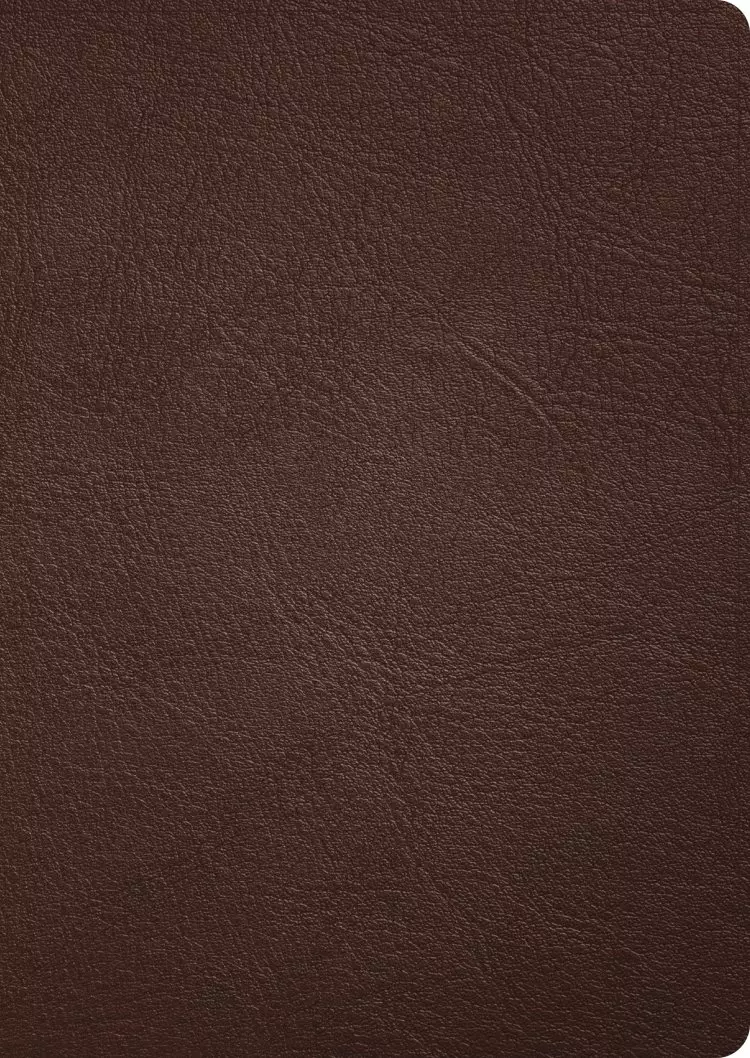 CSB Verse-by-Verse Reference Bible, Holman Handcrafted Collection, Brown Premium Goatskin