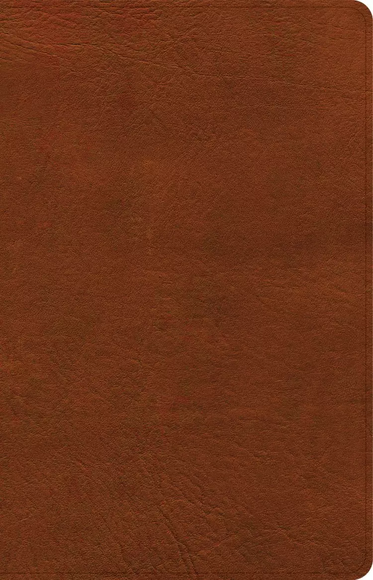 NASB Large Print Personal Size Reference Bible, Burnt Sienna LeatherTouch
