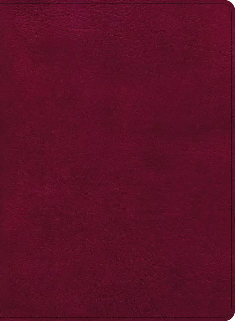 CSB Holy Land Illustrated Bible, Burgundy LeatherTouch