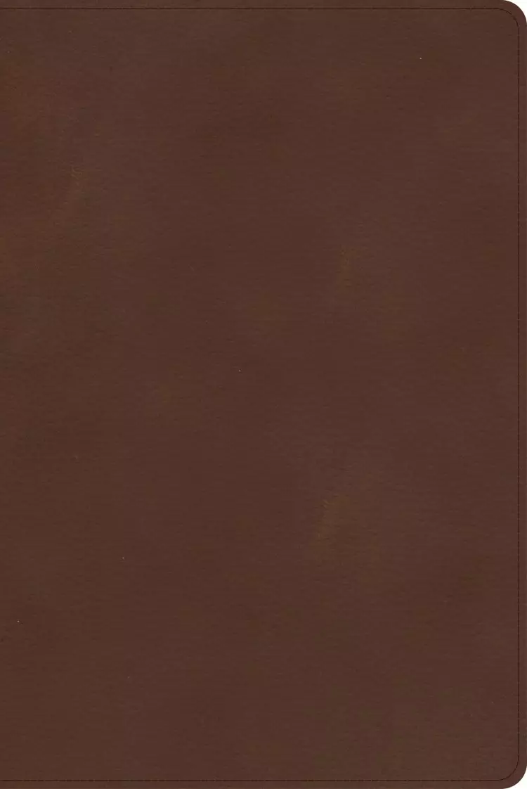 CSB Rainbow Study Bible, Brown LeatherTouch, Indexed