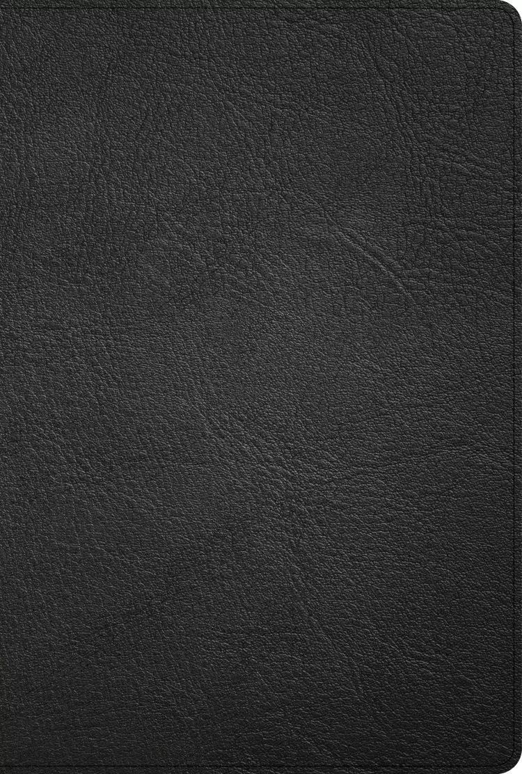 KJV Large Print Thinline Bible, Black Genuine Leather, Indexed