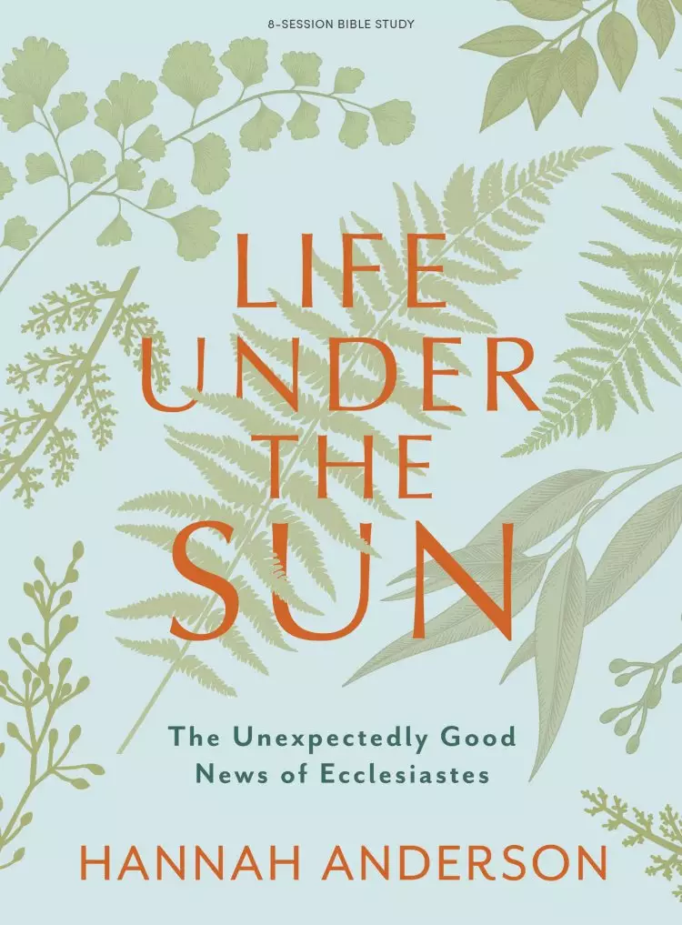 Life Under the Sun - Bible Study Book