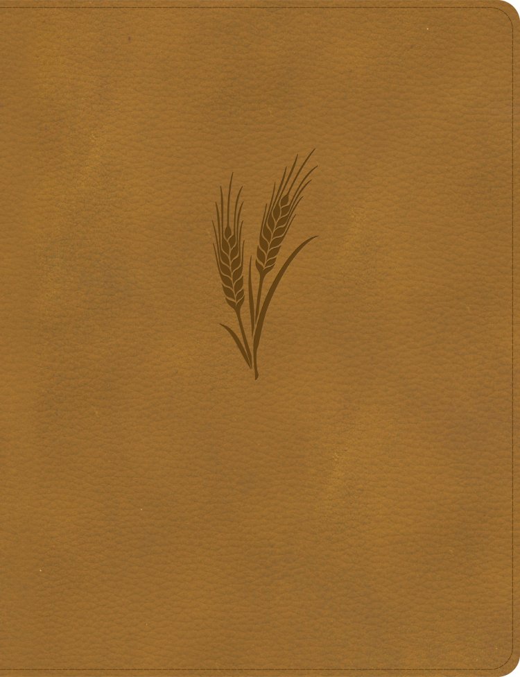 KJV Notetaking Bible, Large Print Edition, Camel LeatherTouch