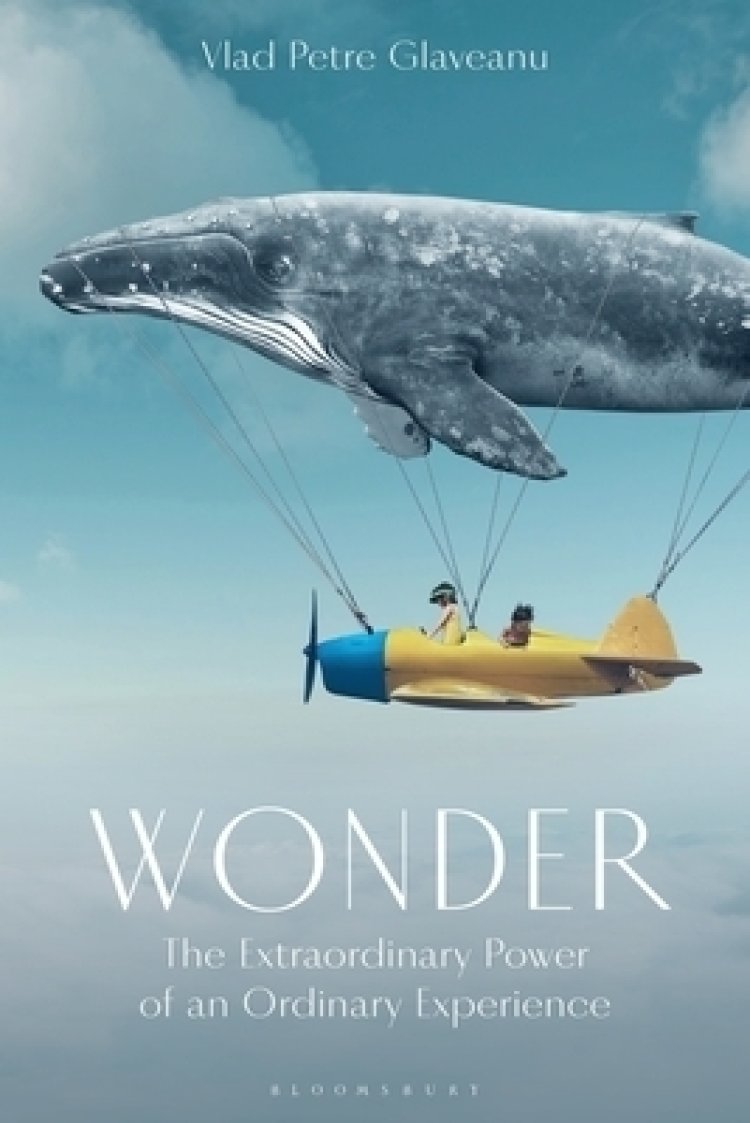 Wonder: The Extraordinary Power of an Ordinary Experience