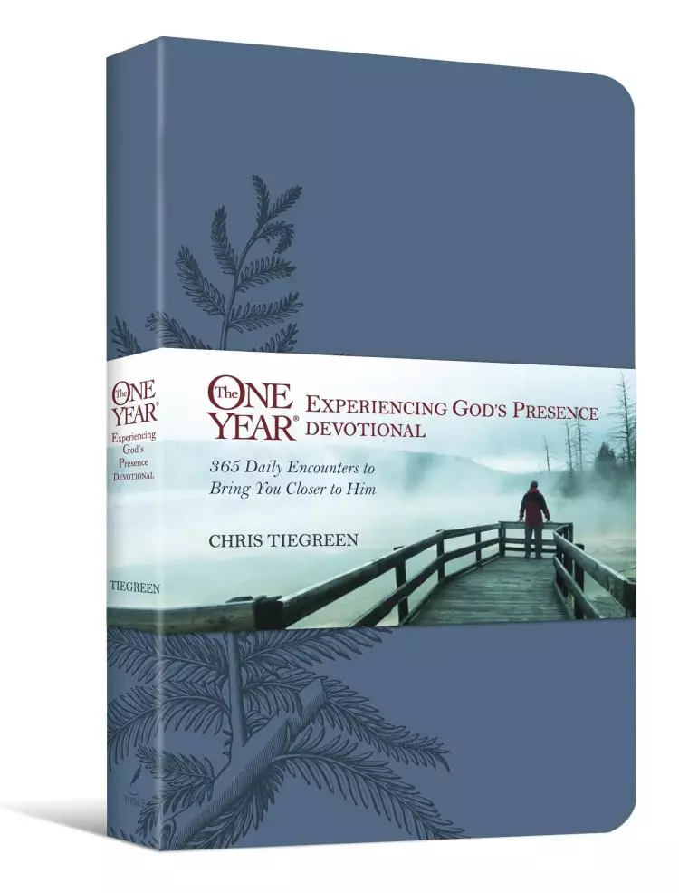 One Year Experiencing Gods Presence Dev