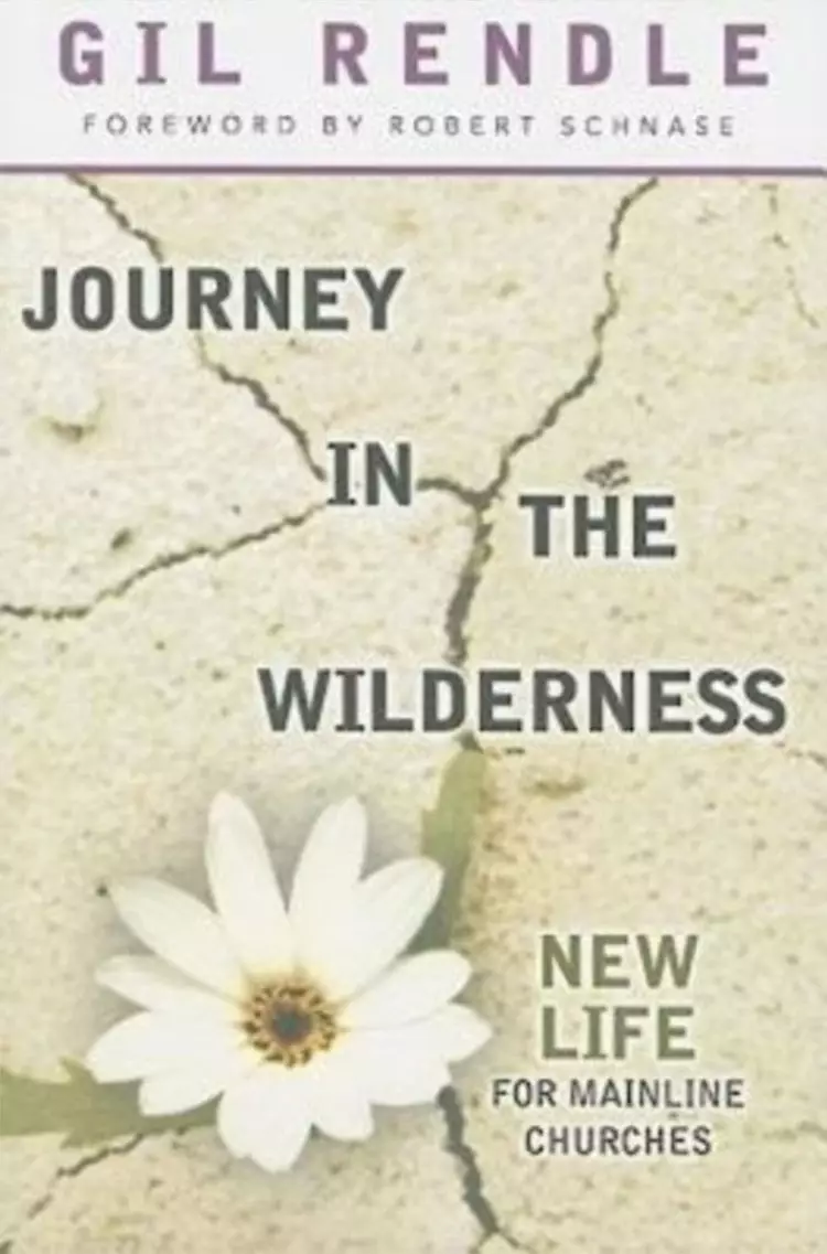 Journey In The Wilderness