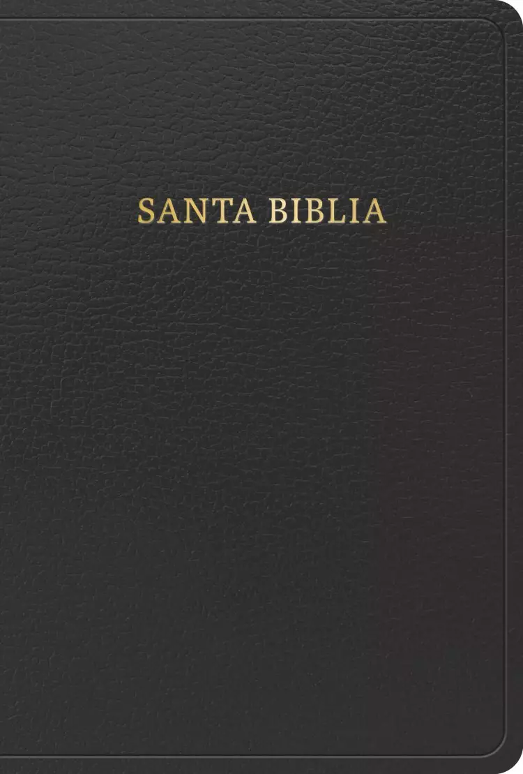 RVR 1960 Biblia letra grande tamaño manual, negro, imitación piel (edición 2023)