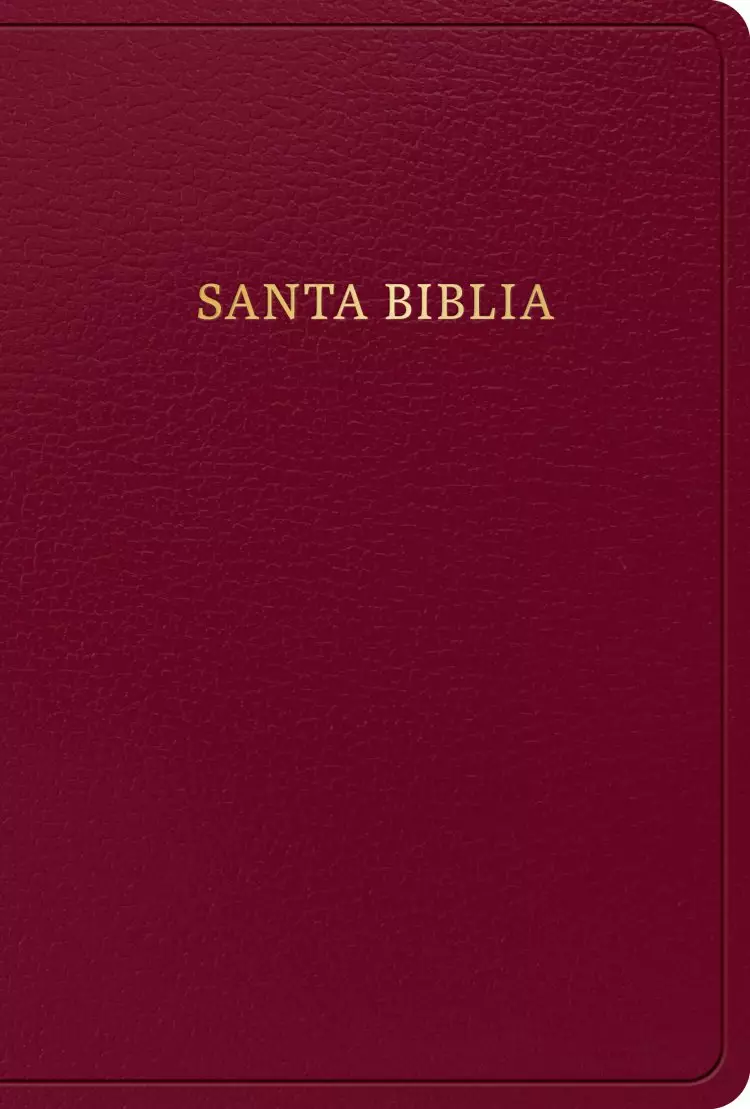 RVR 1960 Biblia letra grande tamaño manual, borgoña, imitación piel (edición 2023)